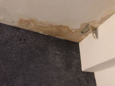 Professional leak detection services in Woolwich, ME